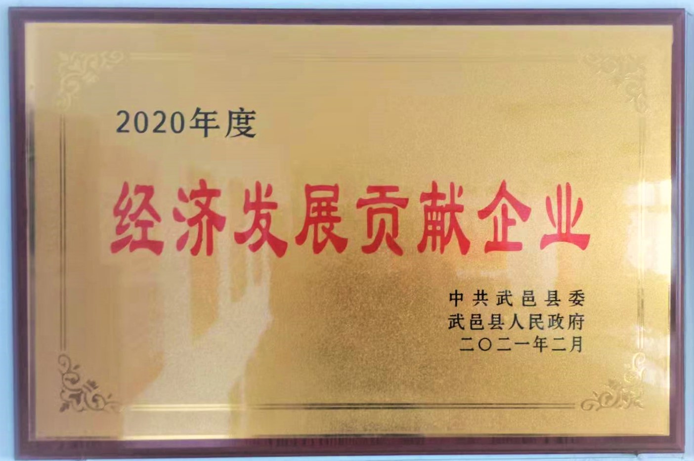 2020年政府突出貢獻(xiàn)獎